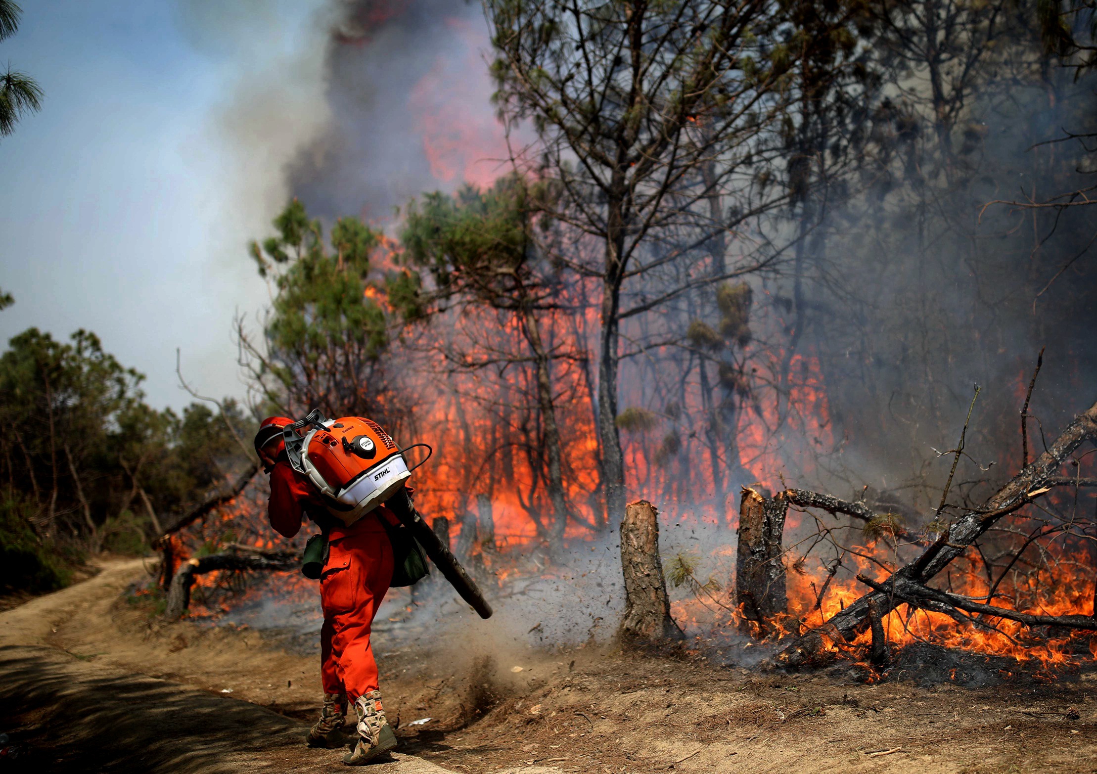 火场书写忠诚赞歌